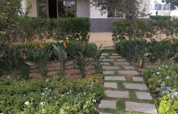 IMG-20250108-WA0115 (1)