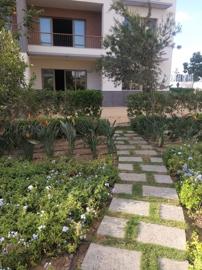 IMG-20250108-WA0115 (1)