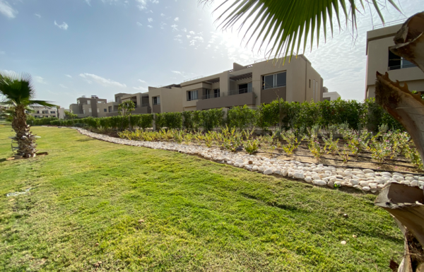 Screenshot_2025-01-22_201246