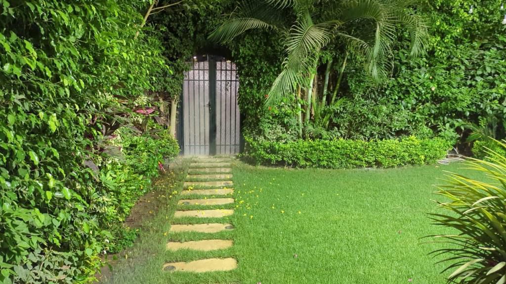 WhatsApp_Image_2024-08-19_at_1.41.14_PM (1)